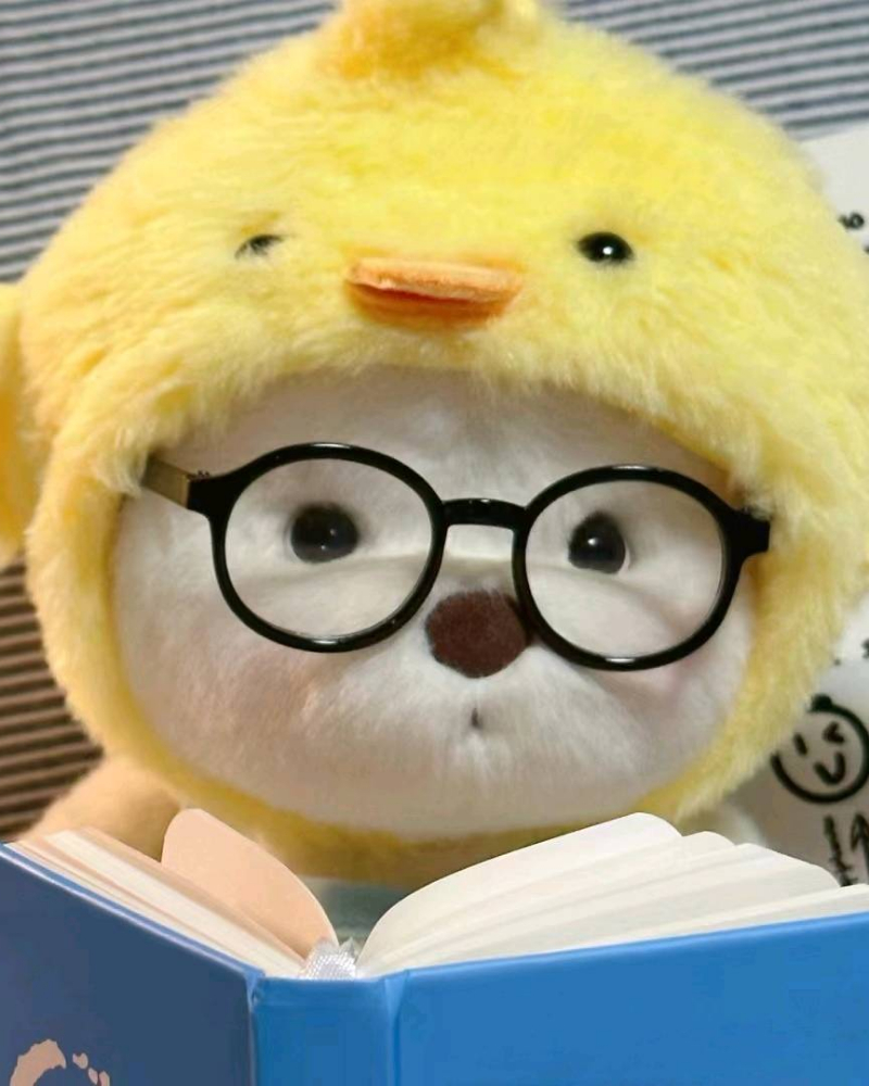不问将来过往