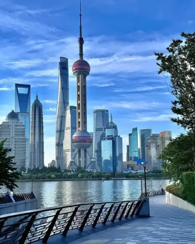 美洲豹